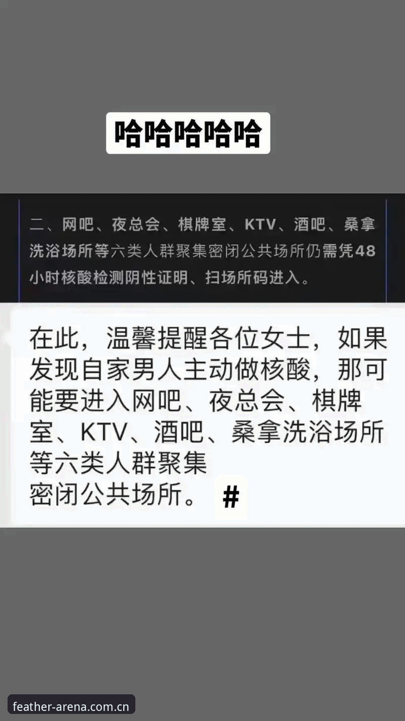 小鸟棋牌体育2026新版首页详解：从账号迁移到赛事直播的完整攻略